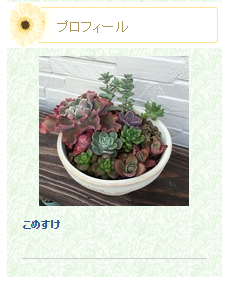 f:id:fmr5:20160302234859p:plain f:id:fmr5:20160302234859p:plain